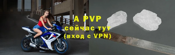 дмт Карпинск