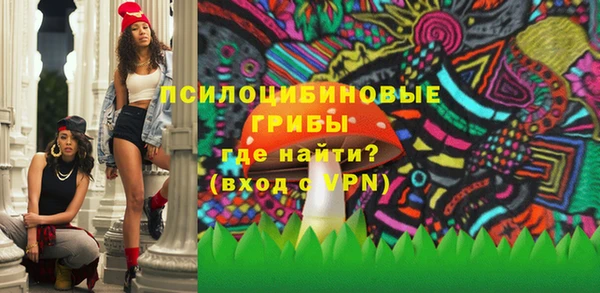МДПВ Каменск-Шахтинский