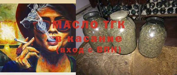 амф Каменка