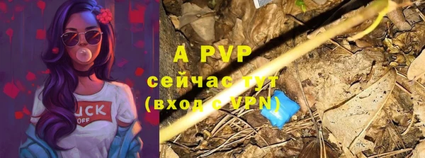 дмт Карпинск