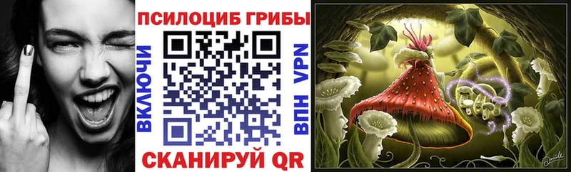 Галлюциногенные грибы Cubensis  Сосновка 